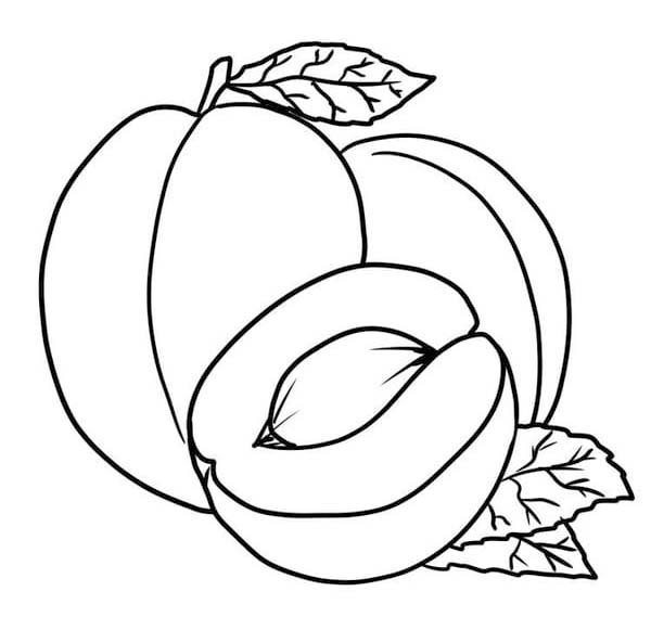 Fise de colorat cu Caisă imprimabil pentru copii