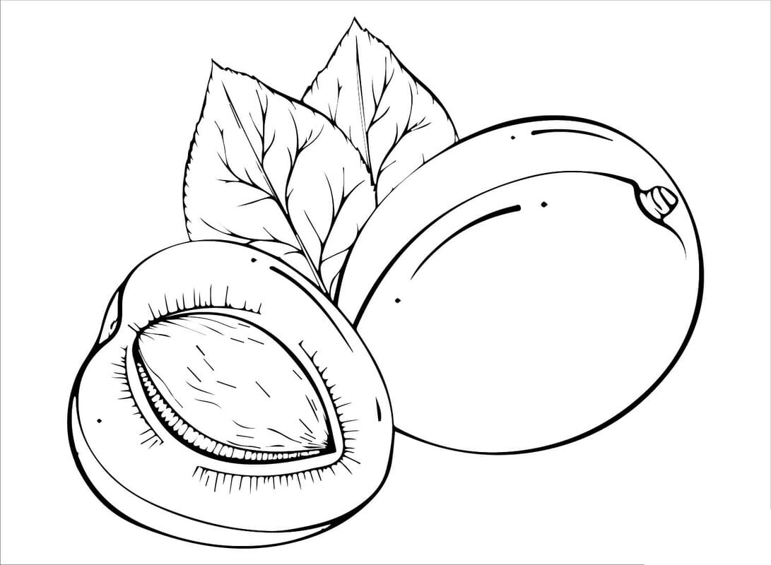 Fise de colorat cu Caisă pentru copii