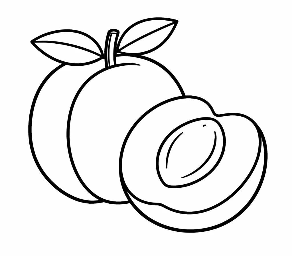 Fise de colorat cu Caisă simplu la copii