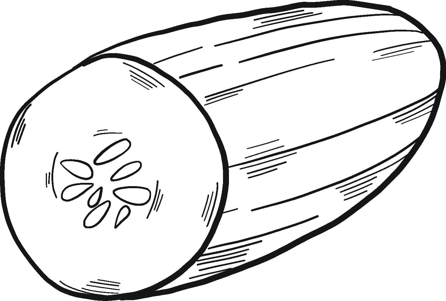 Fise de colorat cu Castravete gratuit