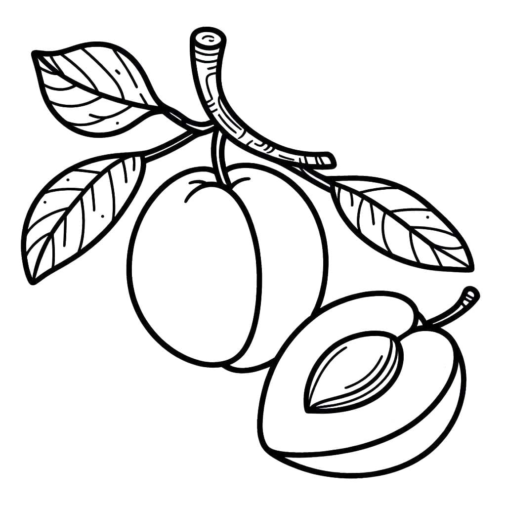 Fise de colorat cu Desenează Caisă bazic