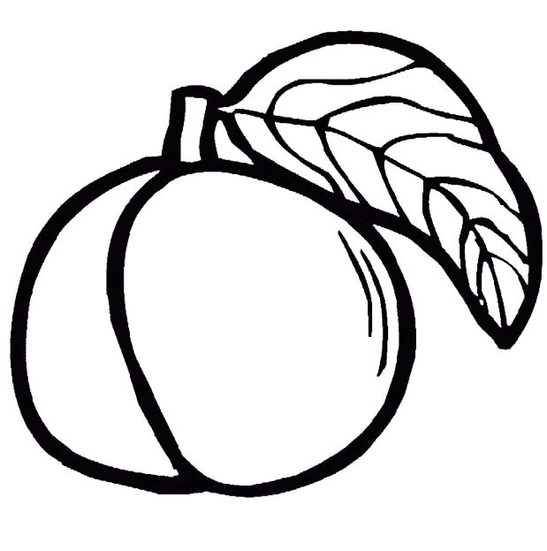 Fise de colorat cu Desenează Caisă gratuit bazic