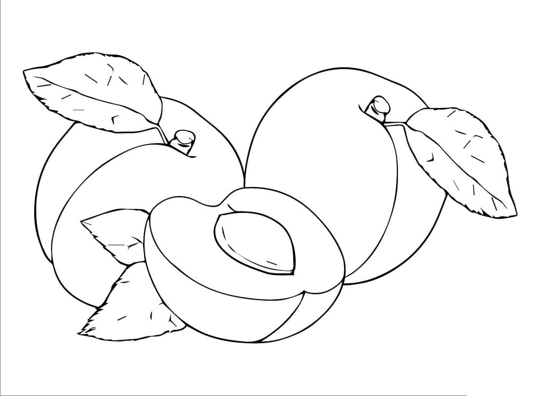 Fise de colorat cu Desenează Caisă gratuit pentru copii