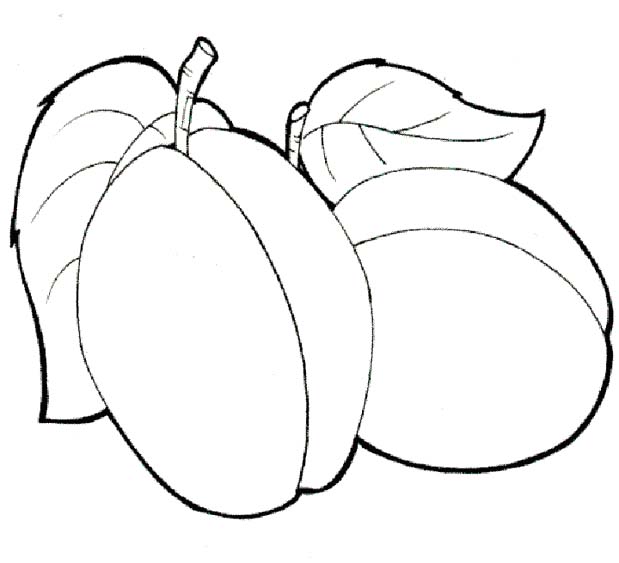 Fise de colorat cu Desenează Caisă gratuit simplu