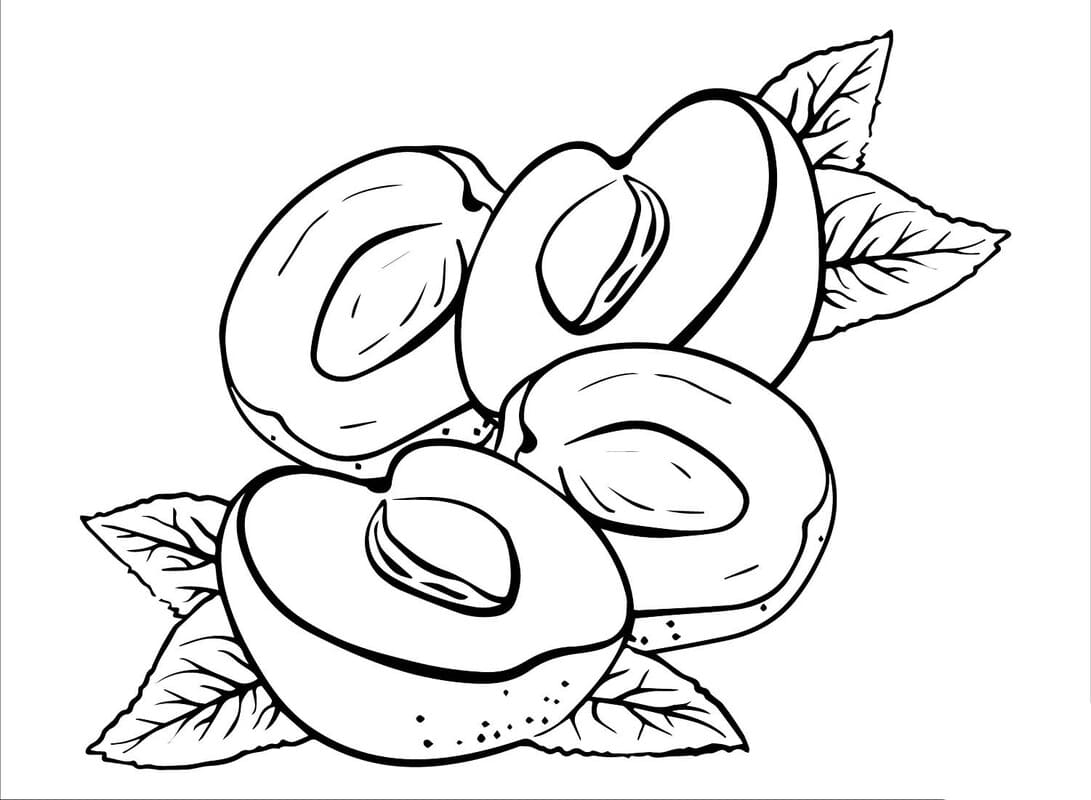 Fise de colorat cu Desenează Caisă imprimabil pentru copii