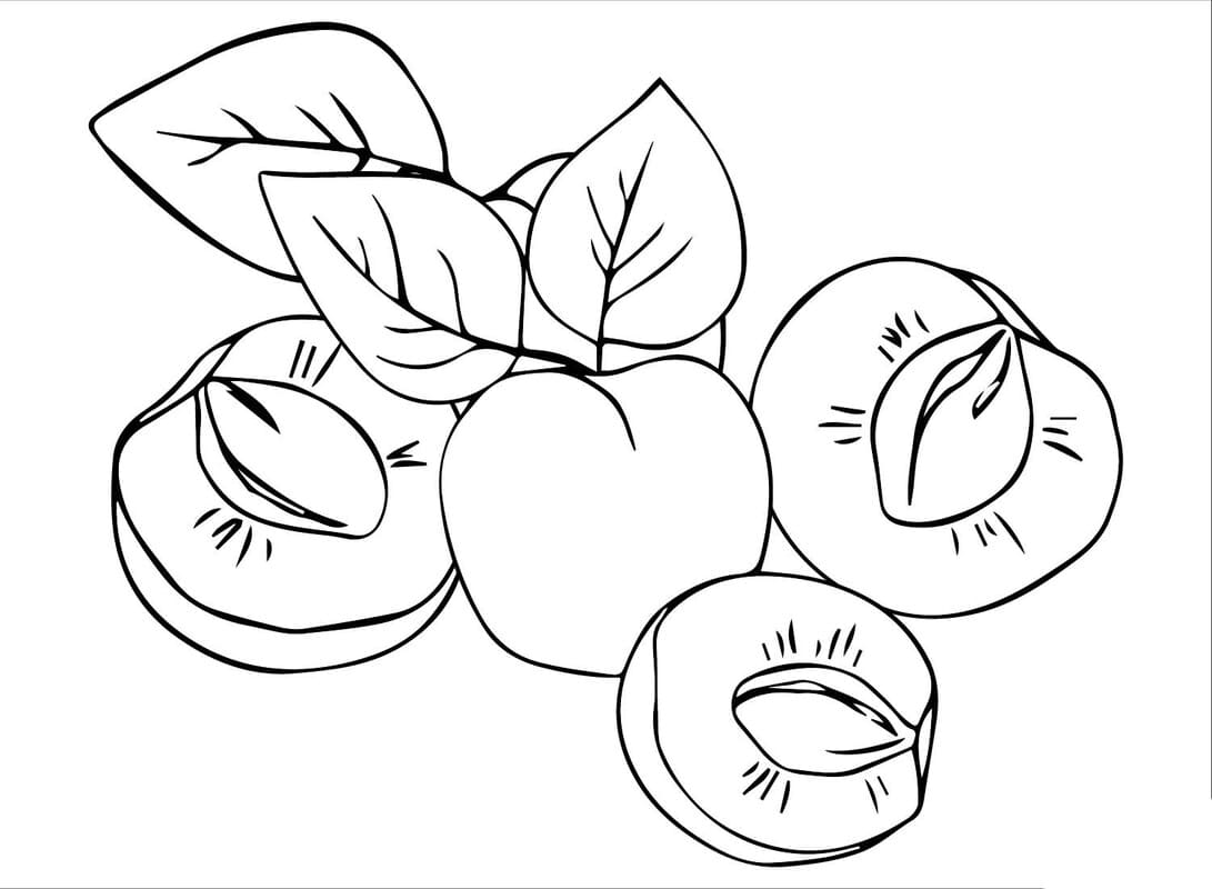 Fise de colorat cu Desenează Caisă imprimabil uşor