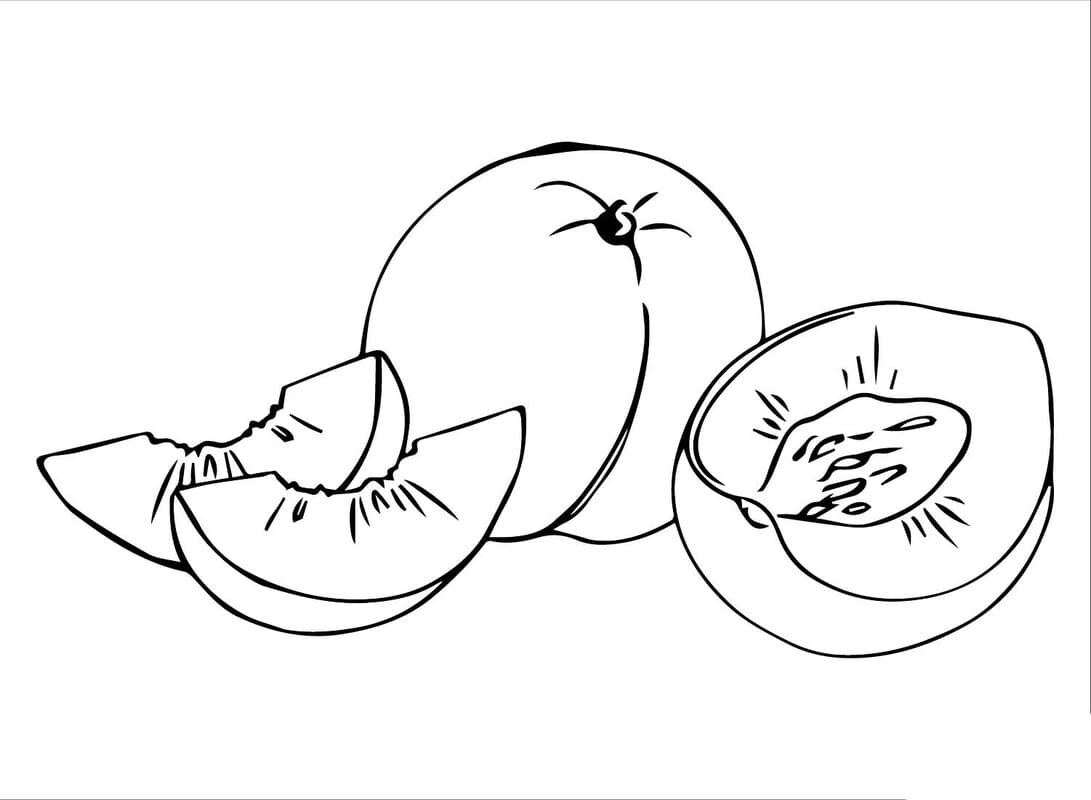 Fise de colorat cu Desenează Caisă simplu la copii