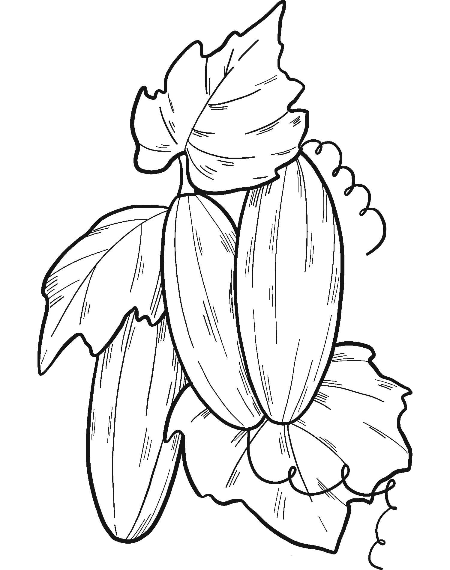 Fise de colorat cu Desenează Castravete uşor la copii