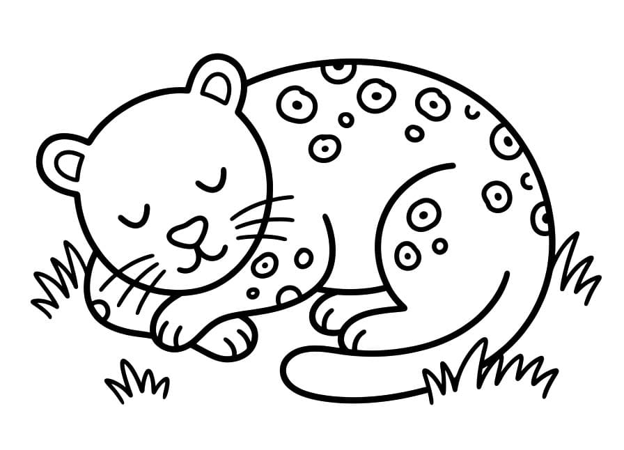 Fise de Colorat cu Desenează Jaguar imprimabil gratuit simplu