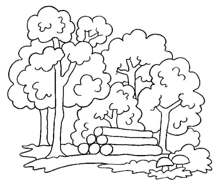 Fise de colorat cu Desenează Pădure gratuit bazic