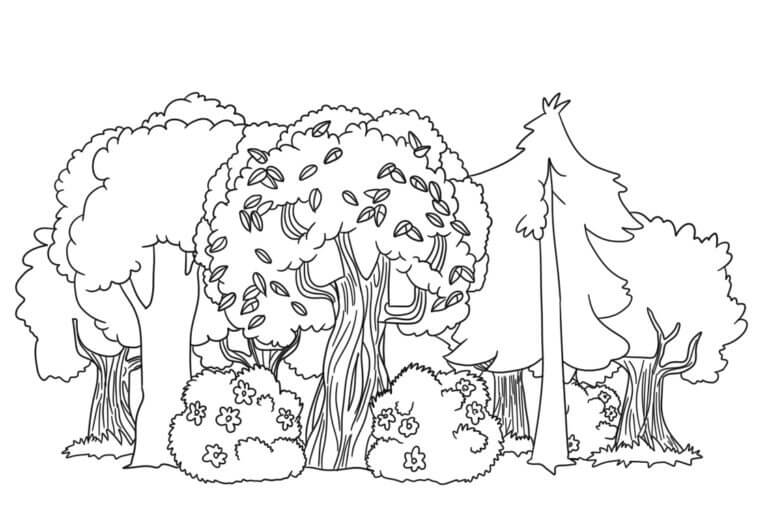 Fise de colorat cu Desenează Pădure imprimabil pentru copii