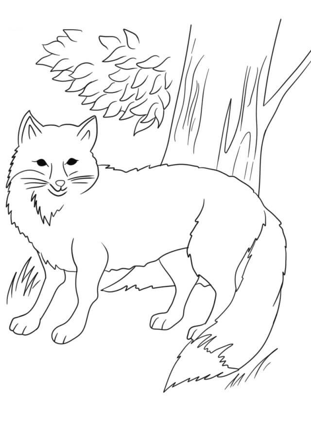 Fise de colorat cu Desenează Pădure uşor