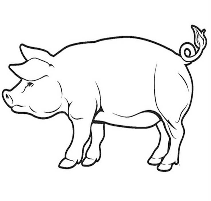 Fise de colorat cu Desenează Porci bazic la copii