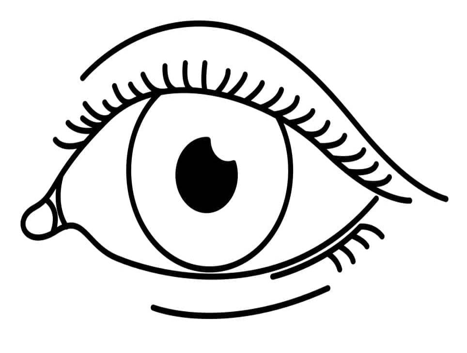 Fise de colorat cu Ochi imprimabil gratuit