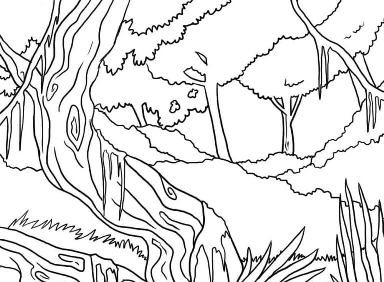 Fise de colorat cu Pădure gratuit bazic