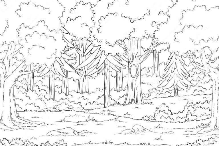Fise de colorat cu Pădure imprimabil gratuit bazic