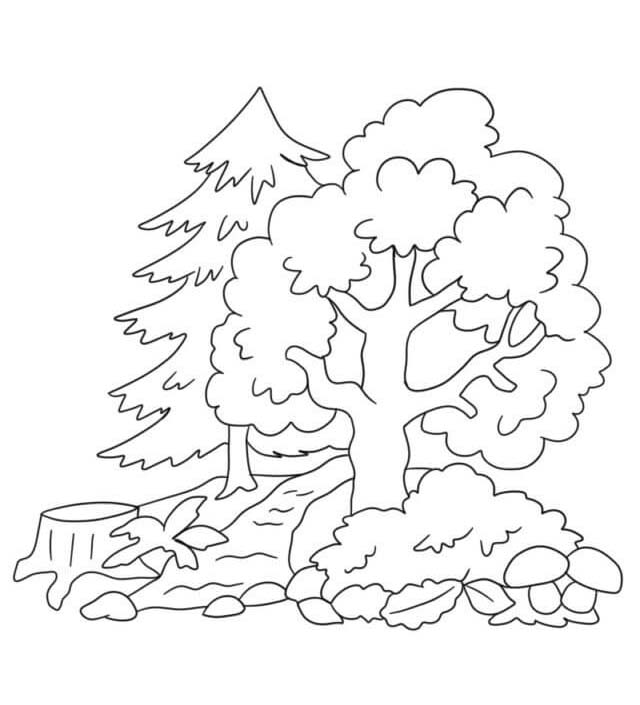 Fise de colorat cu Pădure imprimabil simplu