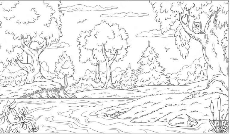 Fise de colorat cu Pădure imprimabil uşor