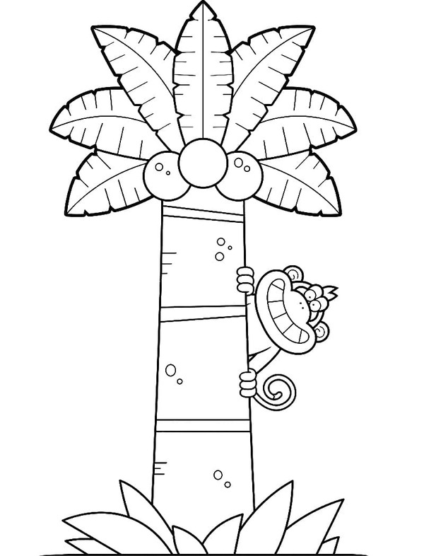 Fise de colorat cu Palmier bazic la copii