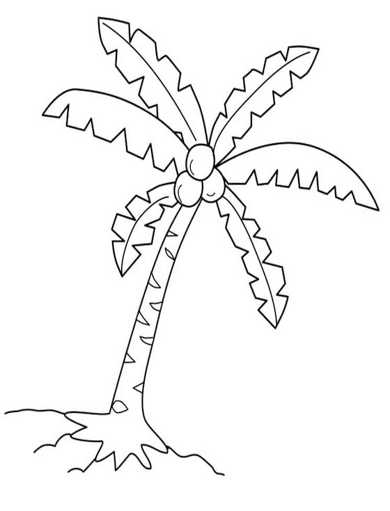 Fise de colorat cu Palmier gratuit uşor