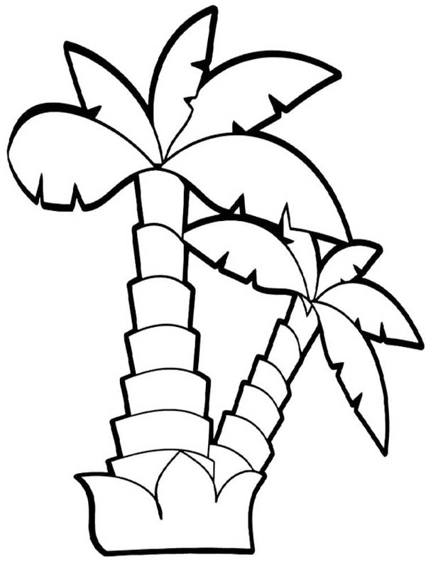 Fise de colorat cu Palmier imprimabil gratuit simplu