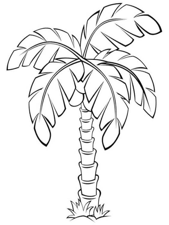 Fise de colorat cu Palmier imprimabil pentru copii