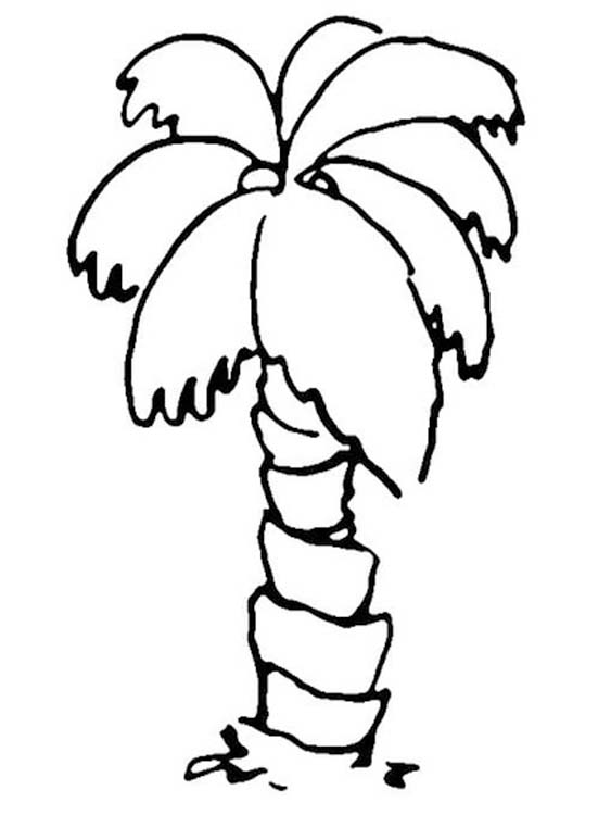 Fise de colorat cu Palmier imprimabil