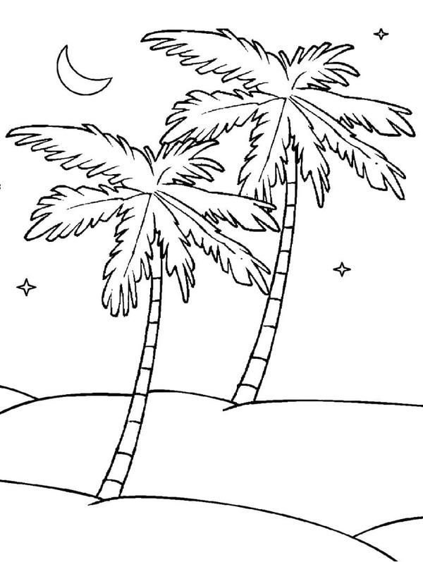 Fise de colorat cu Palmier simplu la copii