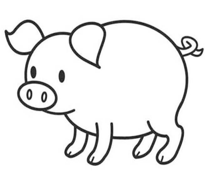 Fise de colorat cu Porci gratuit simplu