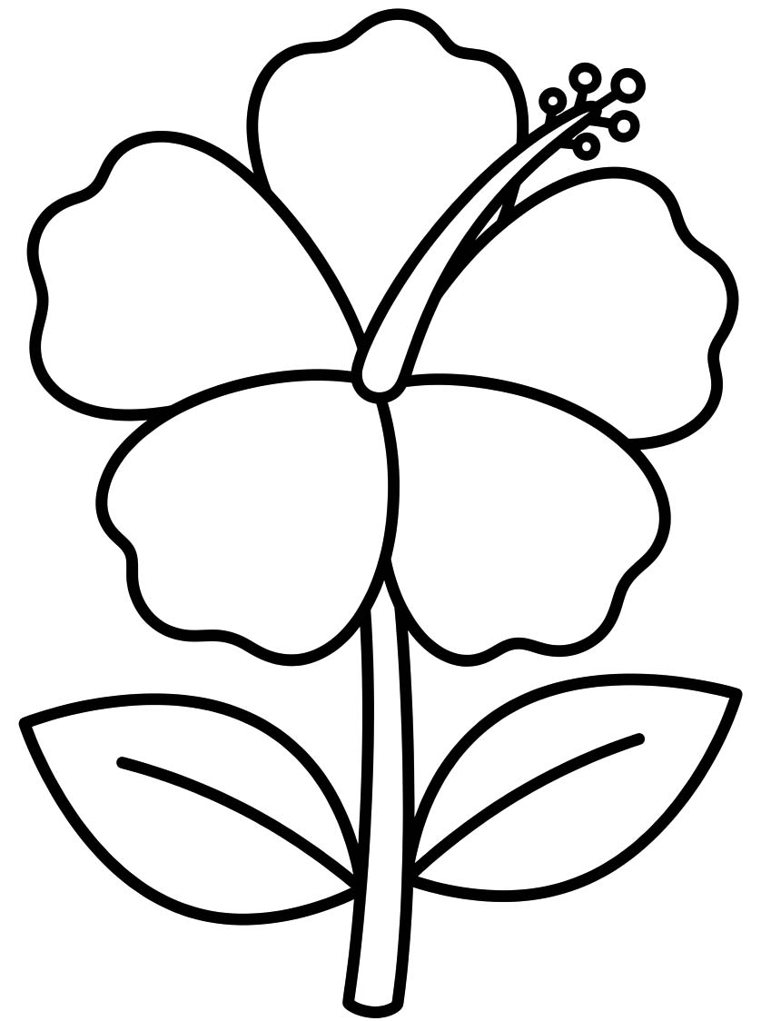 Fise de colorat cu Desenează Hibiscus la copii