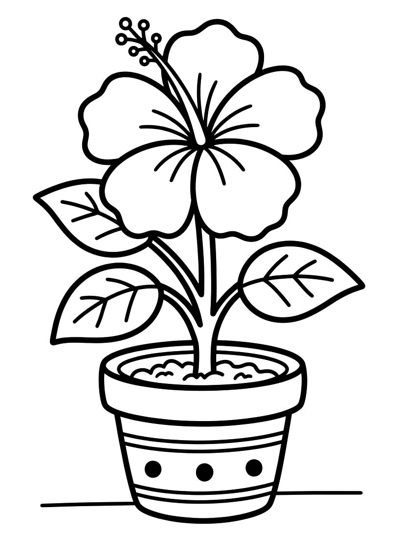 Fise de colorat cu Hibiscus gratuit simplu