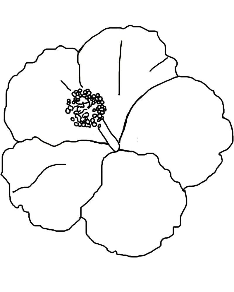 Fise de colorat cu Hibiscus imprimabil gratuit bazic