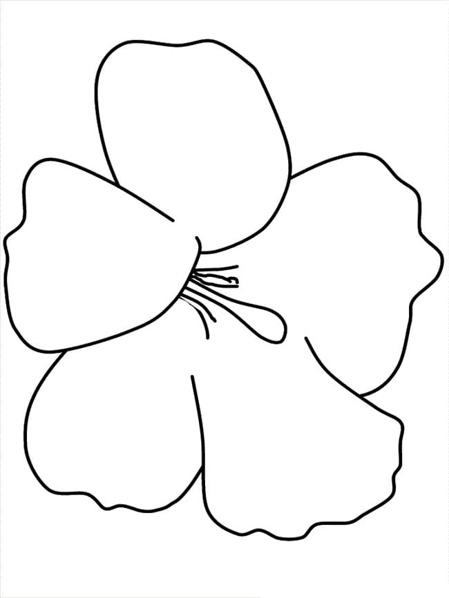 Fise de colorat cu Hibiscus imprimabil gratuit pentru copii