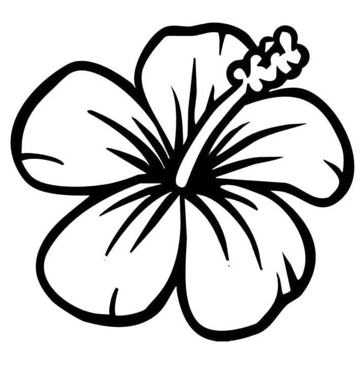 Fise de colorat cu Hibiscus imprimabil gratuit