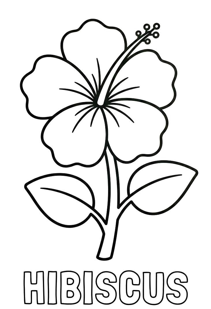 Fise de colorat cu Hibiscus simplu la copii