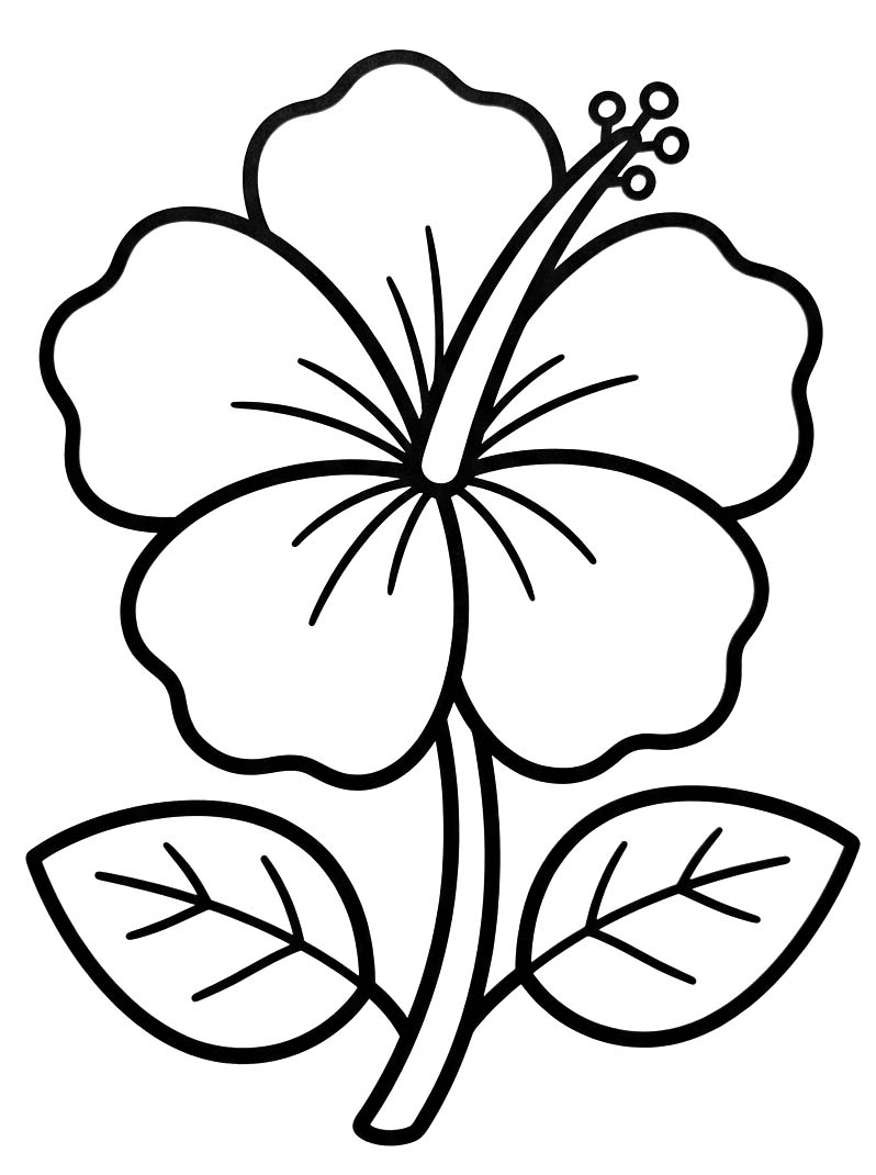 Planse de colorat cu Hibiscus