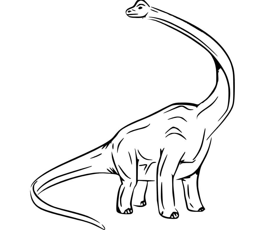 Fise de colorat cu Brachiosaurus imprimabil gratuit simplu