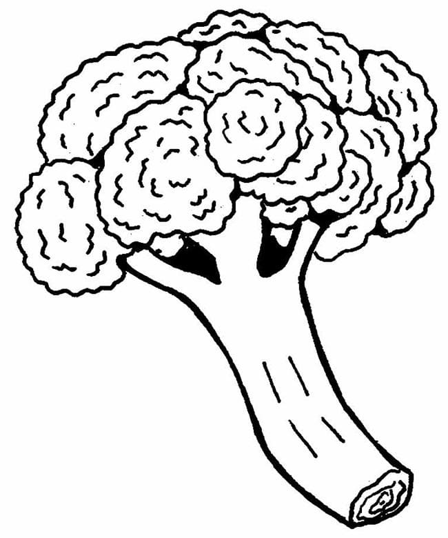 Fise de colorat cu Broccoli simplu la copii