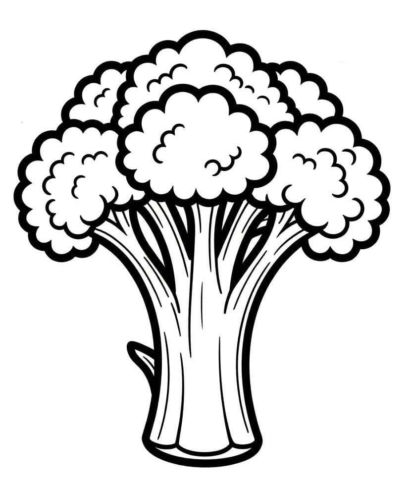 Fise de colorat cu Desenează Broccoli pentru copii