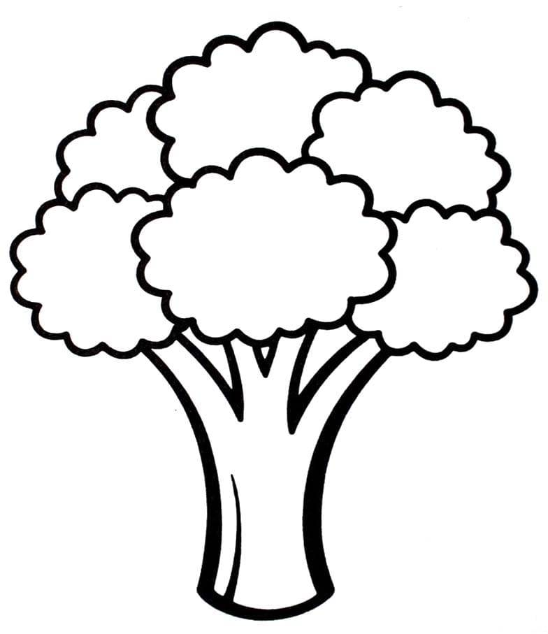 Planse de colorat cu Broccoli