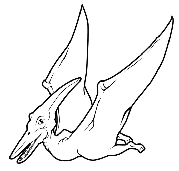 Fise de colorat cu Desenează Pterodactil imprimabil pentru copii