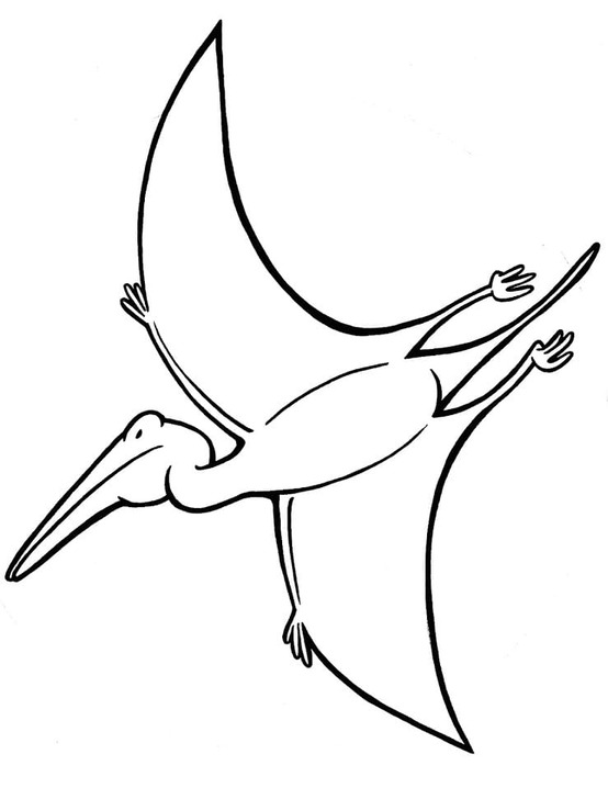 Fise de colorat cu Desenează Pterodactil simplu