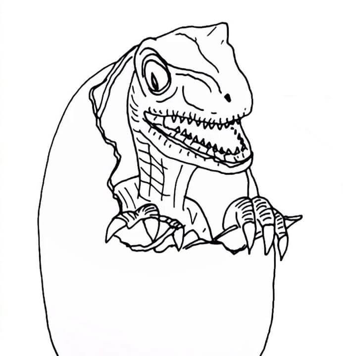 Fise de colorat cu Desenează Velociraptor bazic