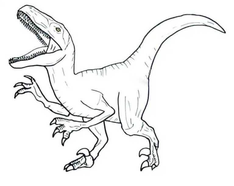Fise de colorat cu Desenează Velociraptor gratuit