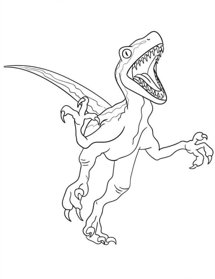 Fise de colorat cu Desenează Velociraptor imprimabil bazic