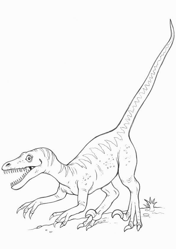Fise de colorat cu Desenează Velociraptor imprimabil gratuit