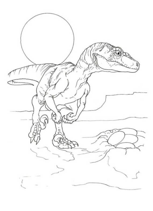 Fise de colorat cu Desenează Velociraptor imprimabil simplu