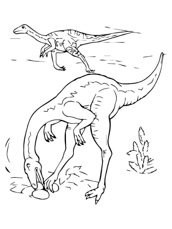 Fise de colorat cu Desenează Velociraptor imprimabil
