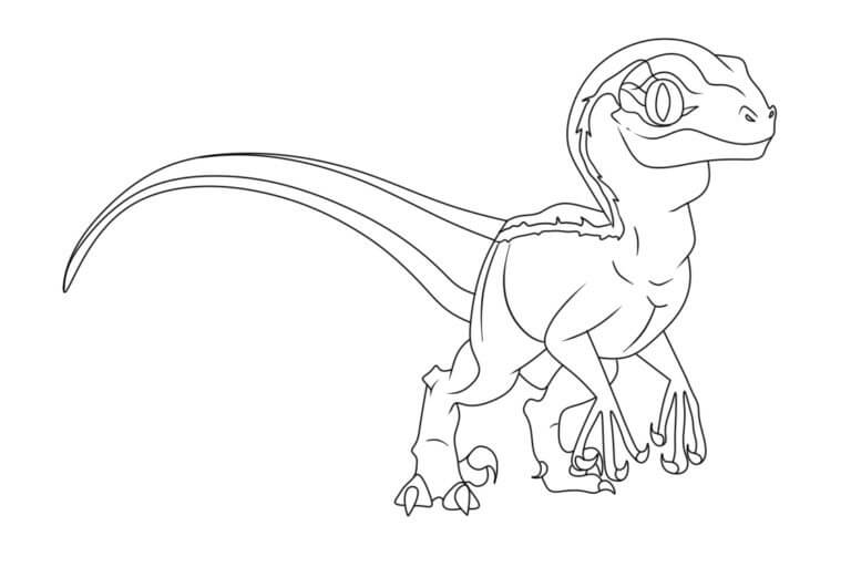Fise de colorat cu Desenează Velociraptor simplu la copii