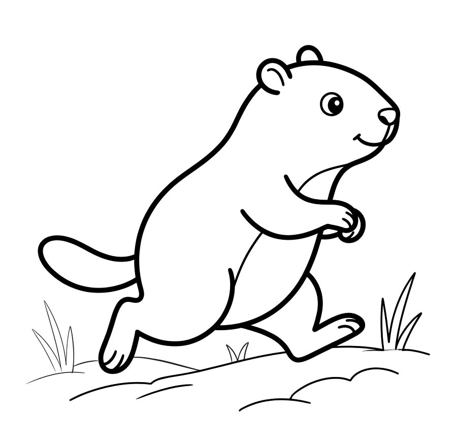 Fise de colorat cu Marmota imprimabil uşor